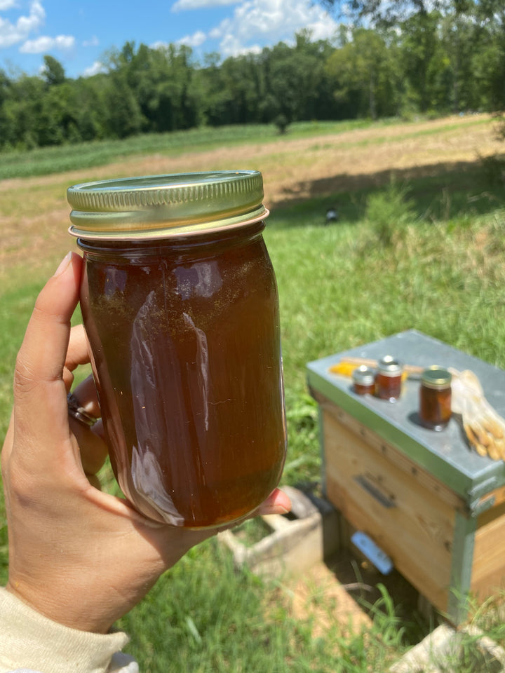 Wild Bee Honey - 16 oz. Jar