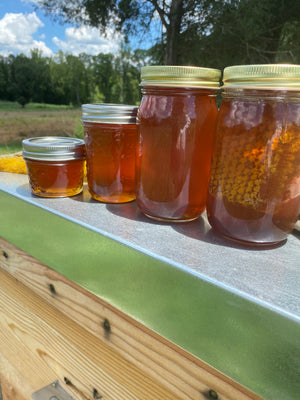 Wild Bee Honey - 16 oz. Jar With Honeycomb!