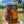Wild Bee Honey - 16 oz. Jar With Honeycomb!