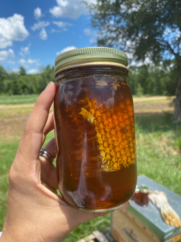 Wild Bee Honey - 16 oz. Jar With Honeycomb!