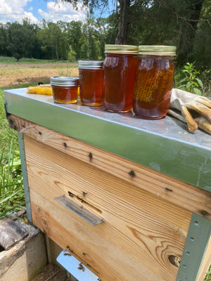 Wild Bee Honey - 6 oz. Jar